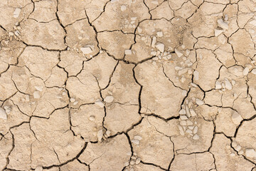 texture dry earth closeup Old asphalt as background,dry ground without water cracked background