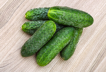 Cucumber