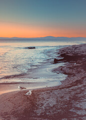 Gulls on Black Sea coastline beach with Sunsetting over distant mountains 