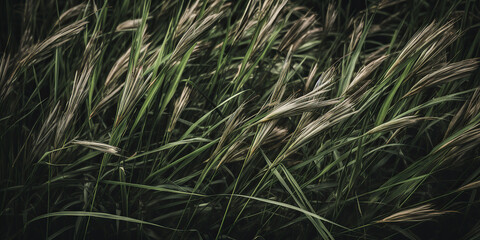 Close up of  green reeds, cane, pampas grass. Macro Shoot. Nature, herbal background. Boho design. Generative ai