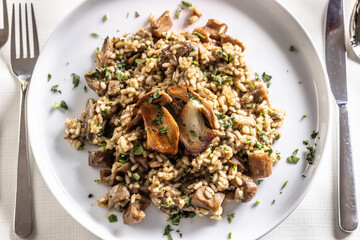 Rice or barley risotto with mushrooms on a plate taken from a top view