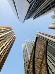 Fototapeta na wymiar 고층빌딩과 하늘