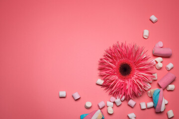 Flower and marshmallows on the pink background, with free space for text.