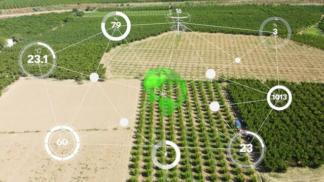 Smart digital agriculture technology by futuristic sensor data collection management by artificial intelligence to control quality of crop growth and harvest. Computer aided plantation grow concept