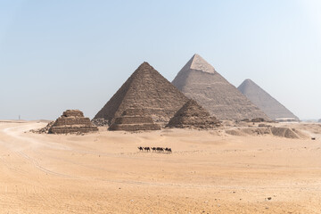 Fototapeta na wymiar Pyramids of giza with camels in far distance