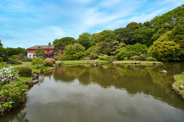 Fototapeta na wymiar 小石川植物園,日本庭園
