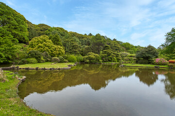 小石川植物園,日本庭園