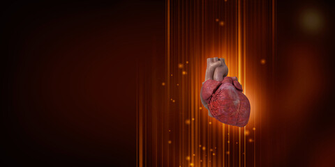 3d illustration  Anatomy of Human Heart  - obrazy, fototapety, plakaty