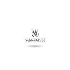  Agriculture wheat Logo Template icon with shadow