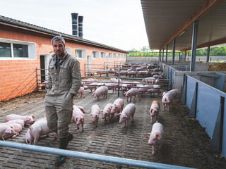 Bewegungsbuchten eines Aussenschweinestalles, Landwirt schaut nach seinen Schweinen.