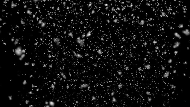Snow, Falling snow animation loop Slow motion