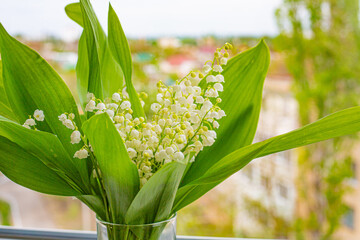 Obraz premium lily of the valley