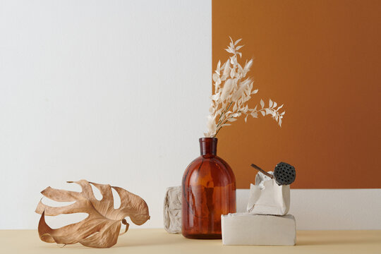 Horizontal shot of contemporary still life installation with brown glass vessel, dried lotus, monstera leaf and other plants and gypsum objects against white and terracotta wall background, copy space