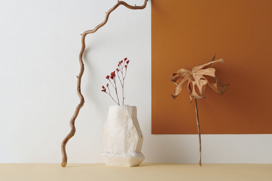 Horizontal shot of contemporary still life installation with gypsum vessel, dried flowers, monstera leaf and branch against white and terracotta brown wall background, copy space