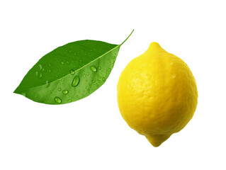 Lemon and a leaf isolated on transparent or white background, png