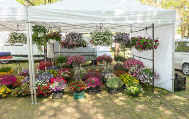flower fair, estonia, türi