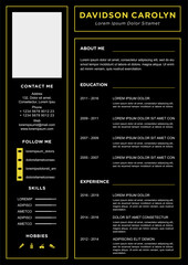 professional curriculum vitae template vector