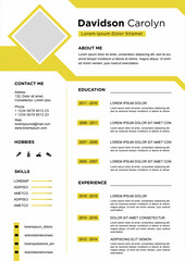 professional curriculum vitae template vector