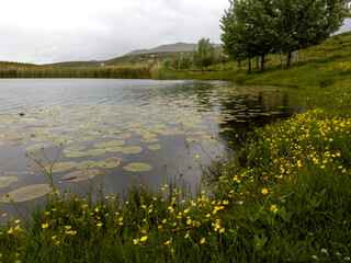 Fototapete bei efototapeten.de bestellen   