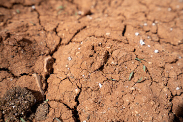 Dried and cracked soil close-up
