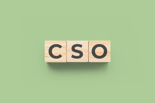 CSO (Chief Sales Officer/Chief Strategy Officer) wooden cubes on green background