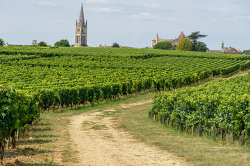 Fototapeta na wymiar Saint Emilion village, Bordeaux, France