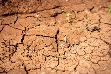 Dried and cracked soil close-up