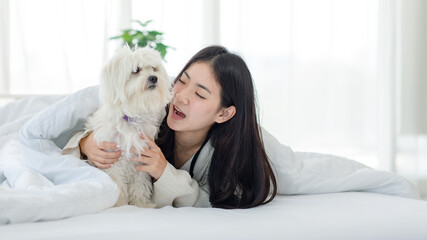 Asian young happy cheerful female owner laying lying down smiling hugging cuddling embracing best friend companion dog white long hair mutt shih tzu under blanket on bed together in bedroom at home