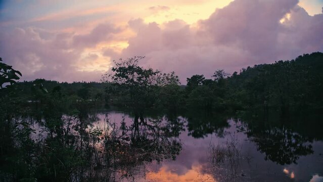 Walking through sunset magical mangrove on Siargao, Philippines