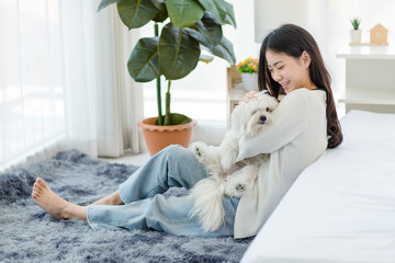 Asian young happy cheerful female owner sitting smiling on fluffy carpet floor holding hugging cuddling embracing best friend companion dog white long hair mutt shih tzu together in bedroom at home - obrazy, fototapety, plakaty