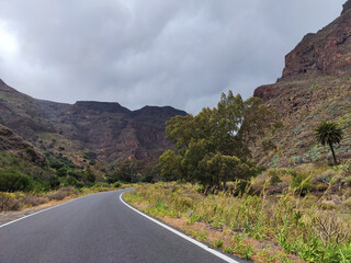 Views of the beautiful roads of GRAN CANARIA among the nature of the island