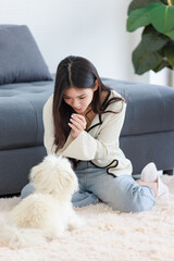 Asian young happy cheerful female owner sitting smiling on fluffy carpet floor playing with best friends companion dogs white short hair shih tzu puppy in living room.