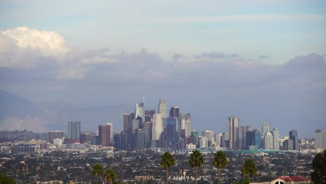 Los Angeles Downtown Skyline and Palm Trees Telephoto at Baldwin Hills California USA