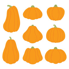 Set of pumpkins isolated on white background. Vector illustration. Collection of ripe orange pumpkins. Autumn pumpkin harvest.