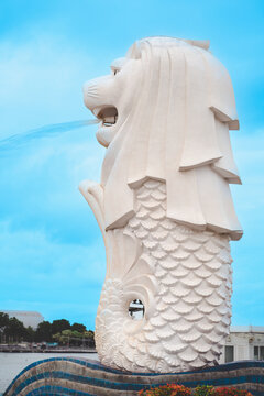 SINGAPORE - JULY 30, 2022 :The Merlion fountain at Marina Bay. The merlion is a marketing icon used as a mascot and national personification of Singapore.