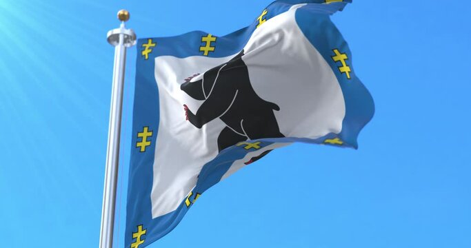 Flag of Siauliai County, Lithuania. Loop