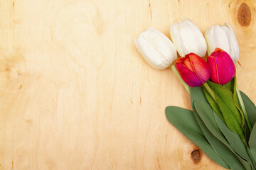 Tulip flowers on wooden background with copy space. Delicate tulips enhance wooden greeting card.