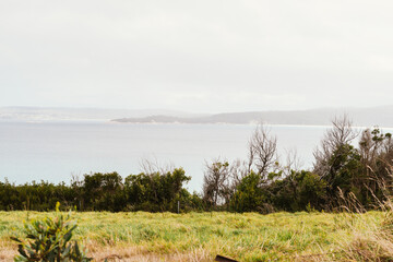 View Bay of Fires via the Gardens Road, in Tasmania, North East Tasmania, Australia