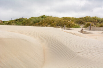 Dunes de sables sculptées par les vents sur le littoral de la mer du Nord près de Dunkerque