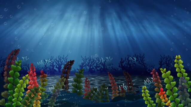 Underwater with Colorful Coral Animation Loop Scene Background Footage