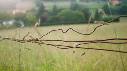 Cable de hierro oxidado en valla de finca rural