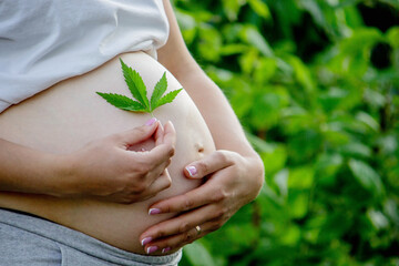 Pregnant belly with cannabis leaf. Selective focus.