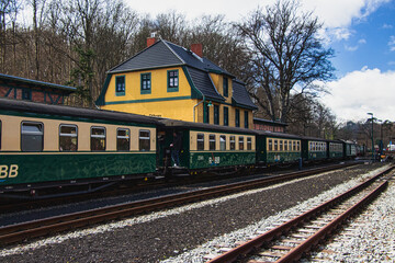 Fototapeta na wymiar Rasender Roland Steam Train on Rügen Island, Germanx