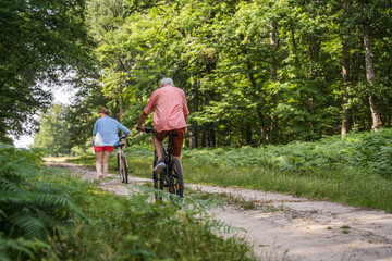 Obraz premium Back view of happy father and daughter riding bicycle outdoors at summer