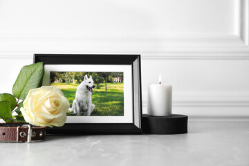 Frame with picture of dog, collar, burning candle and rose flower on light grey table, space for...