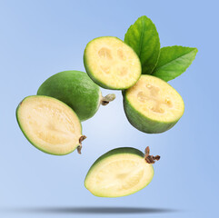 Fresh feijoa fruits and leaves falling on light blue background