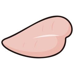 太い線で描かれたカットイラスト / 鶏むね肉