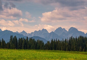 Rural fields near Tatra Mountains in summer time. beautiful panorama of agricultural area. gorgeous mountain ridge with high rocky peaks - obrazy, fototapety, plakaty