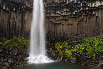 Fototapeta na wymiar Svartifoss waterfall (Landscapes of Iceland)
