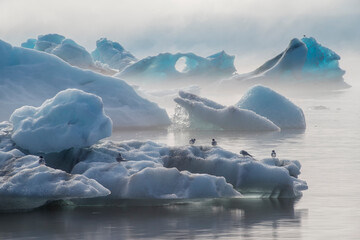 Jökulsárlón lagoon in summer (Iceland landscapes)